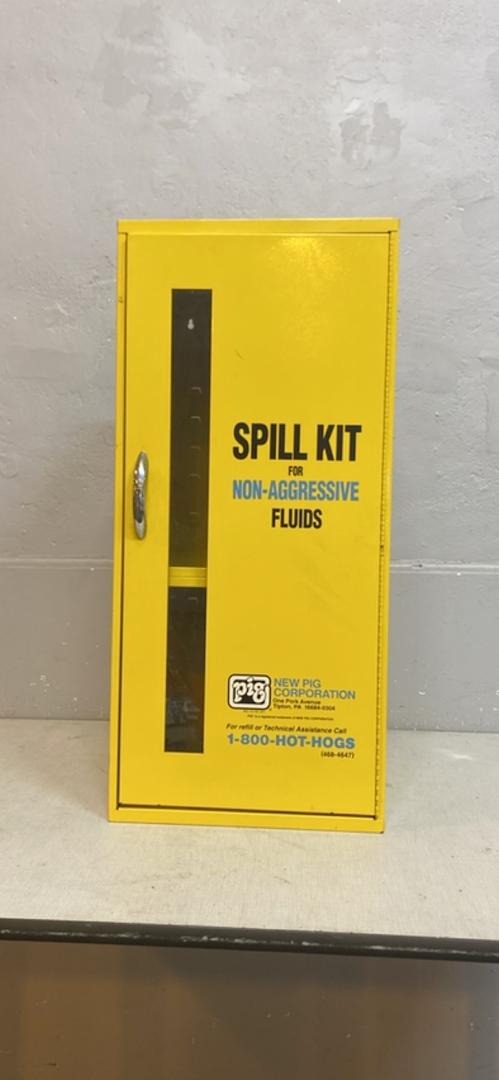 Pig Non-Aggressive Fluids Clean Up Cabinet(S6LLST6817)